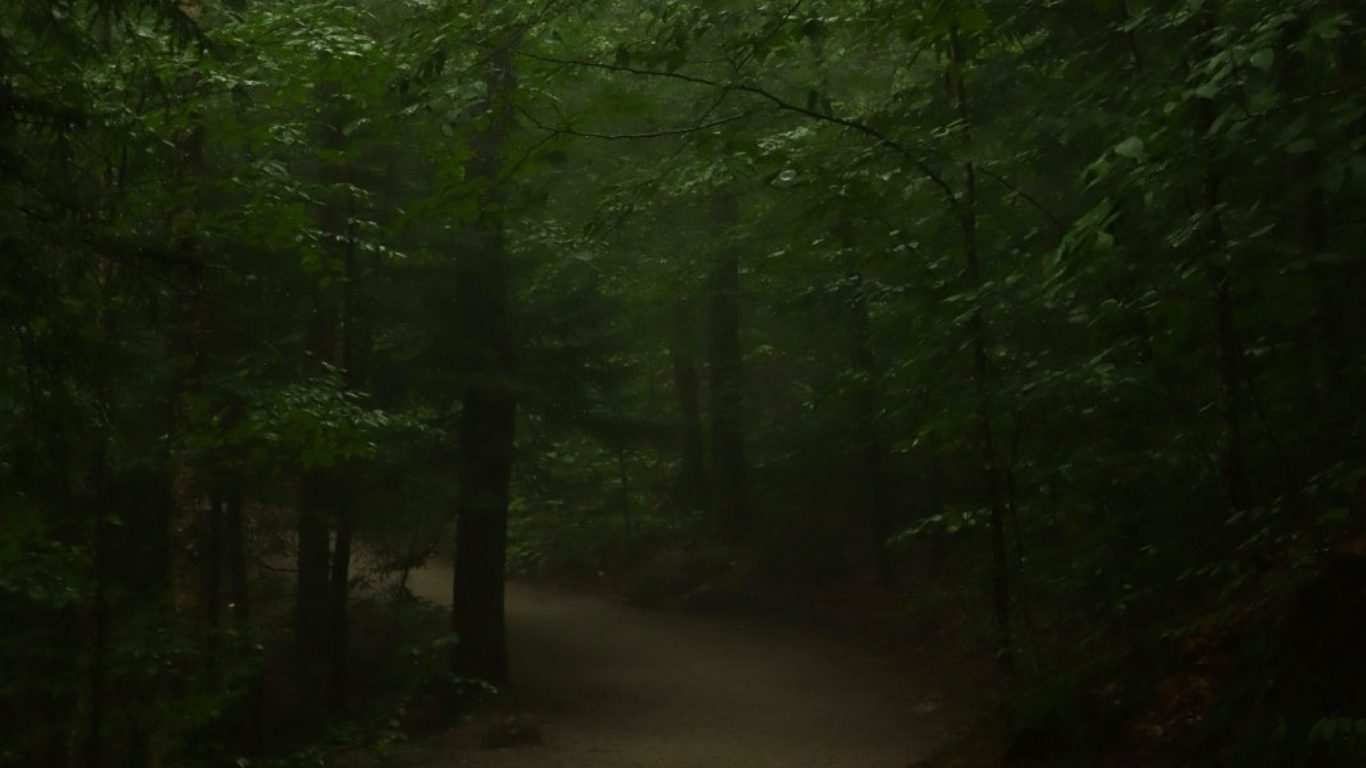 Caressing the Divine (short&nbsp;story)
