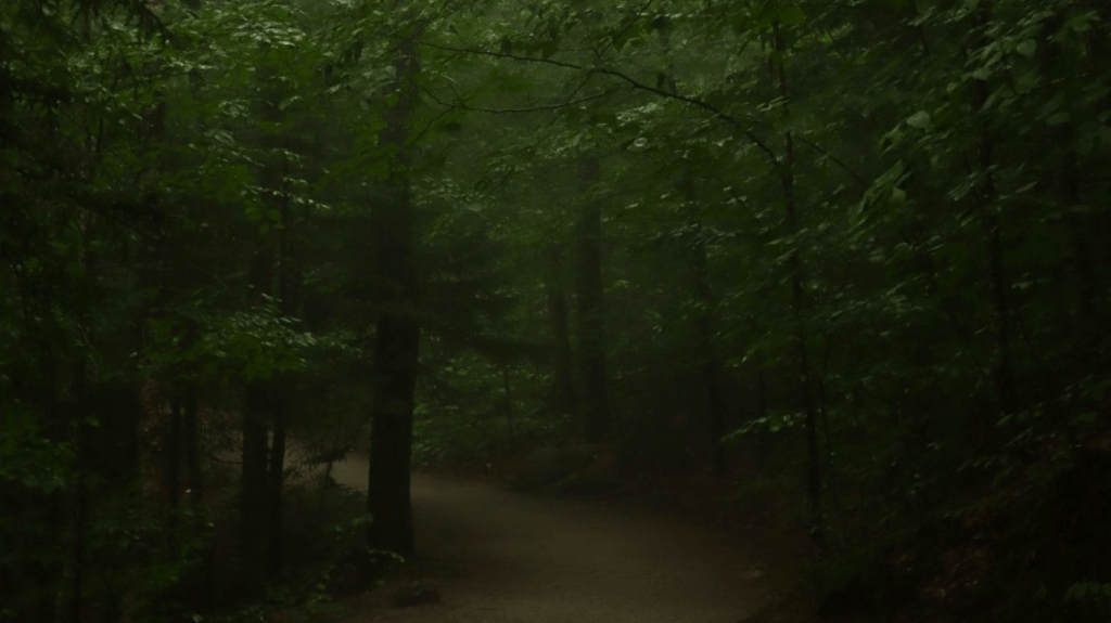 Caressing the Divine (short&nbsp;story)